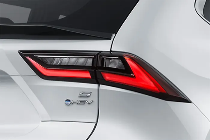 Attractive LED Rear Combination Lamp